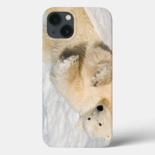 Eisbär in der Nähe der Hudson Bay Case-Mate iPhone Hülle