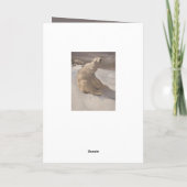 Eisbär in Schneemaschine, grau-braun Karte (Rückseite)