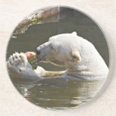 Eisbär isst Obst im Wasser Getränkeuntersetzer (Vorne)