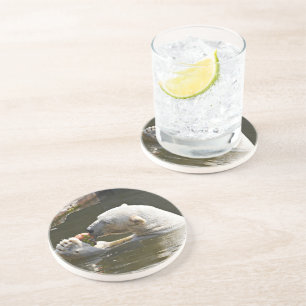 Eisbär isst Obst im Wasser Getränkeuntersetzer