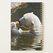 Eisbär isst Obst im Wasser Planer (Rückseite)