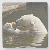 Eisbär isst Obst im Wasser Steinuntersetzer (Vorderseite)
