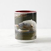 Eisbär isst Obst im Wasser Tasse (Zentrum)