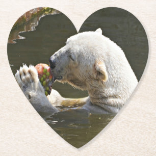 Eisbär isst Obst im Wasser Untersetzer