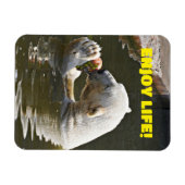 Eisbär isst Obst im Wassermagnet Magnet (Horizontal)