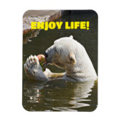 Eisbär isst Obst im Wassermagnet Magnet (Vertikal)
