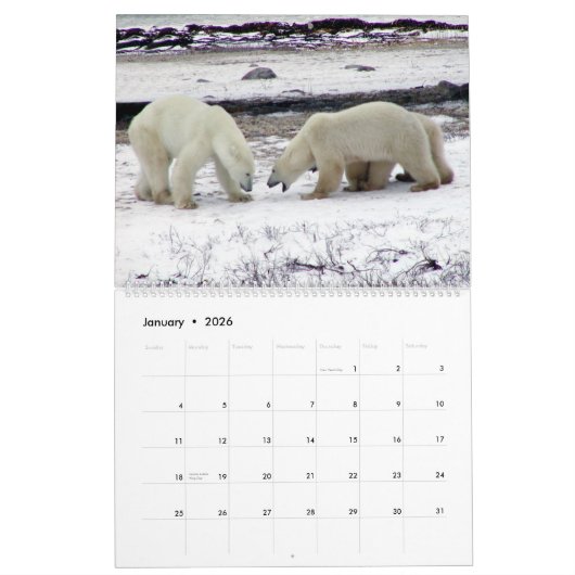 EISBÄR König des arktischen Kalenders 2014 2-Pg. Kalender (Jan 2026)