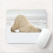 Eisbär kratzt sich auf gefrorener Tundra Mousepad (Mit Mouse)