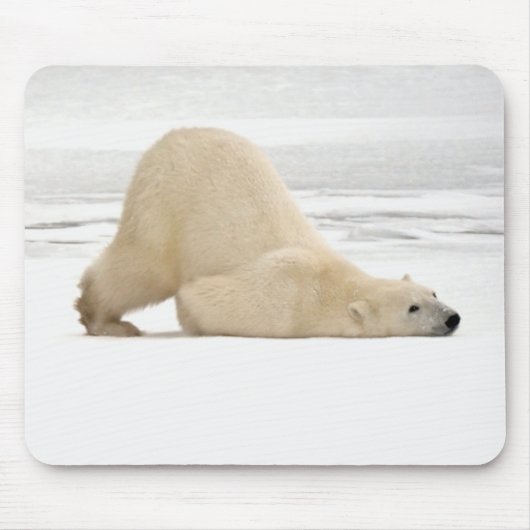 Eisbär kratzt sich auf gefrorener Tundra Mousepad (Vorne)