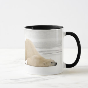 Eisbär kratzt sich auf gefrorener Tundra Tasse