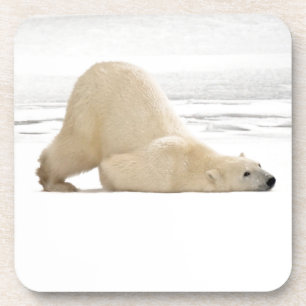 Eisbär kratzt sich auf gefrorener Tundra Untersetzer