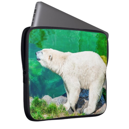 Eisbär Laptopschutzhülle (Vorne Rechts)