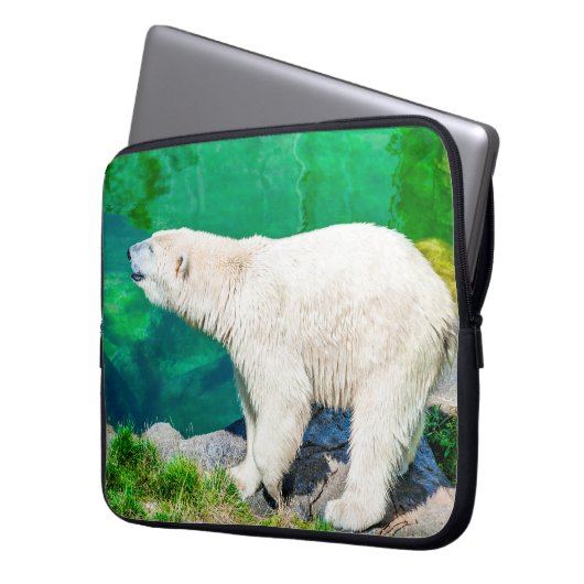 Eisbär Laptopschutzhülle (Vorderseite Links)