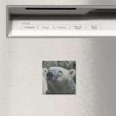 Eisbär Magnet (In Situ (Geschirrspüler))