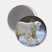 Eisbär Magnet (Vorderseite/Rückseite)