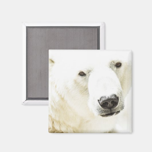 Eisbär Magnet (Vorderseite/Rückseite)