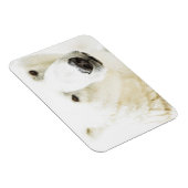 Eisbär Magnet (Rechte Seite)