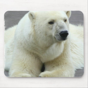 Eisbär-Mausunterlage Mousepad