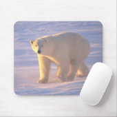 Eisbär-Morgen 2 Mousepad (Mit Mouse)