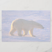 Eisbär-Morgen Briefpapier (Vorderseite)