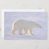 Eisbär-Morgen Briefpapier (Vorne/Hinten)