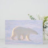 Eisbär-Morgen Briefpapier (Stehend Vorderseite)