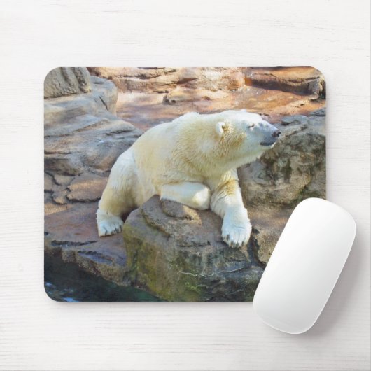 Eisbär Mousepad (Mit Mouse)