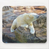 Eisbär Mousepad (Vorne)