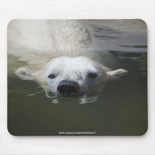 Eisbär Mousepad (Vorne)