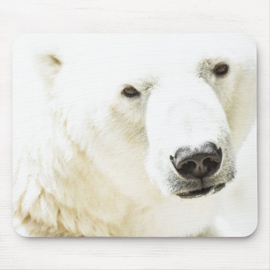 Eisbär Mousepad (Vorne)