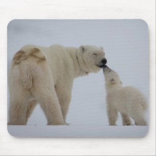 Eisbär-Mutter mit CUB Mousepad