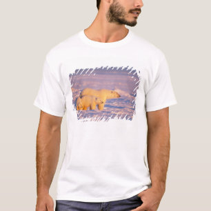 Eisbär-Mutter mit Frühlingsjungen auf dem gefroren T-Shirt