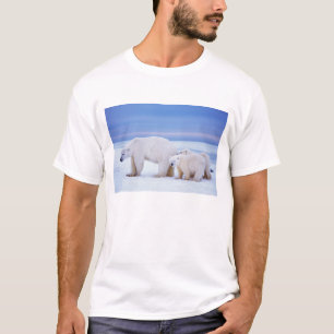 Eisbär-Mutter mit Jungen T-Shirt