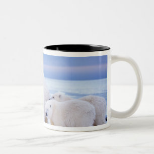 Eisbär-Mutter mit Jungen Zweifarbige Tasse