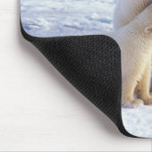 Eisbär-Mutter mit Jungtier, Packeis Mousepad (Ecke)