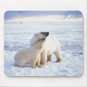 Eisbär-Mutter mit Jungtier, Packeis Mousepad