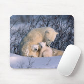 Eisbär-Mutter sitzt mit Zwillingen, Mousepad (Mit Mouse)