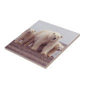 Eisbär-Mutter und CUB Fliese (Seite)