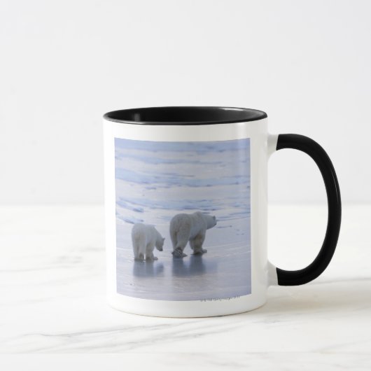Eisbär-Mutter und CUB Tasse (Rechts)