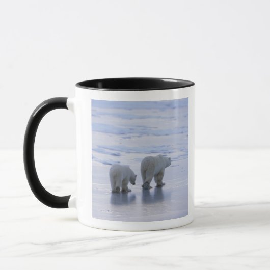 Eisbär-Mutter und CUB Tasse (Links)