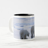 Eisbär-Mutter und CUB Zweifarbige Tasse (Vorderseite Links)