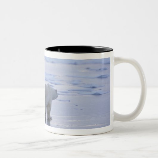 Eisbär-Mutter und CUB Zweifarbige Tasse (Rechts)