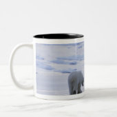 Eisbär-Mutter und CUB Zweifarbige Tasse (Links)