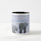Eisbär-Mutter und CUB Zweifarbige Tasse (Mittel)