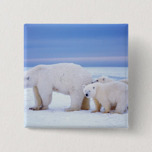 Eisbär-Muttertier mit Jungen Button