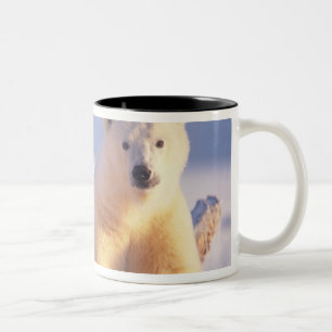 Eisbär-Muttertier mit Jungtier auf Packeis Zweifarbige Tasse