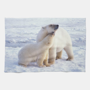 Eisbär-Muttertier mit Jungtier, Packeis Geschirrtuch