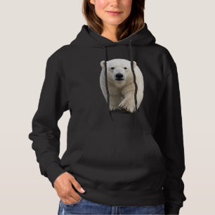 Eisbär nähert sich hoodie