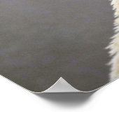 Eisbär Poster (Ecke)