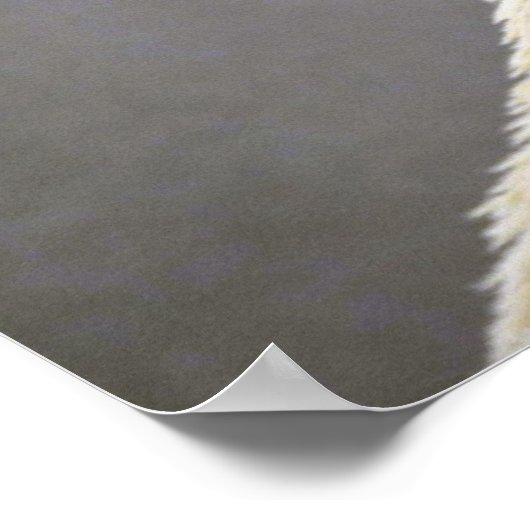 Eisbär Poster (Ecke)